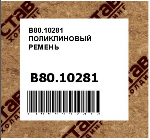 B80.10281 ПОЛИКЛИНОВЫЙ РЕМЕНЬ