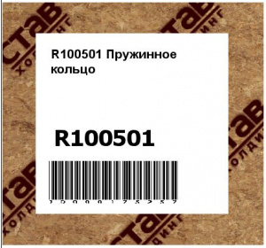 R100501 Пружинное  кольцо